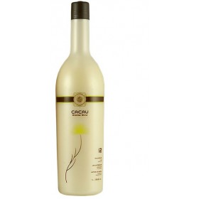 Brazilian Cacau Keratine Blow Dry Treatment Kit (Just Keratin)