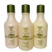 Brazilian Argan Oil Hair Blow Dry System 3 X 250 ML Presentation
